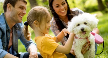 Consejos para elegir la mascota adecuada para su familia