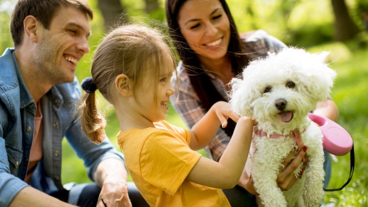 Consejos para elegir la mascota adecuada para su familia